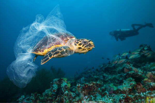 Ocean Pollution Ocean Pollution