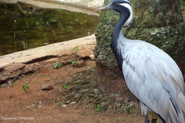 Umgeni River Bird Park